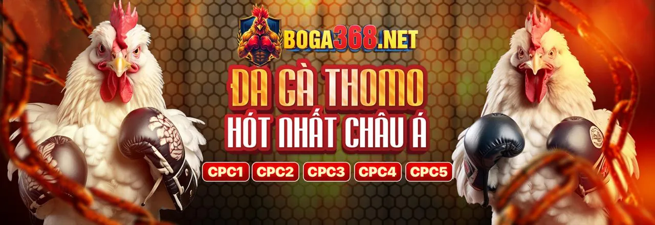 Đá gà trực tuyến ke68 win